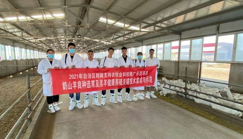 內(nèi)蒙古農(nóng)牧業(yè)科學(xué)院依托 農(nóng)牧業(yè)科技推廣示范項目 助力奶山羊產(chǎn)業(yè)發(fā)展