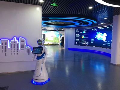 愛麗絲智能機(jī)器人 引領(lǐng)銷售新紀(jì)元